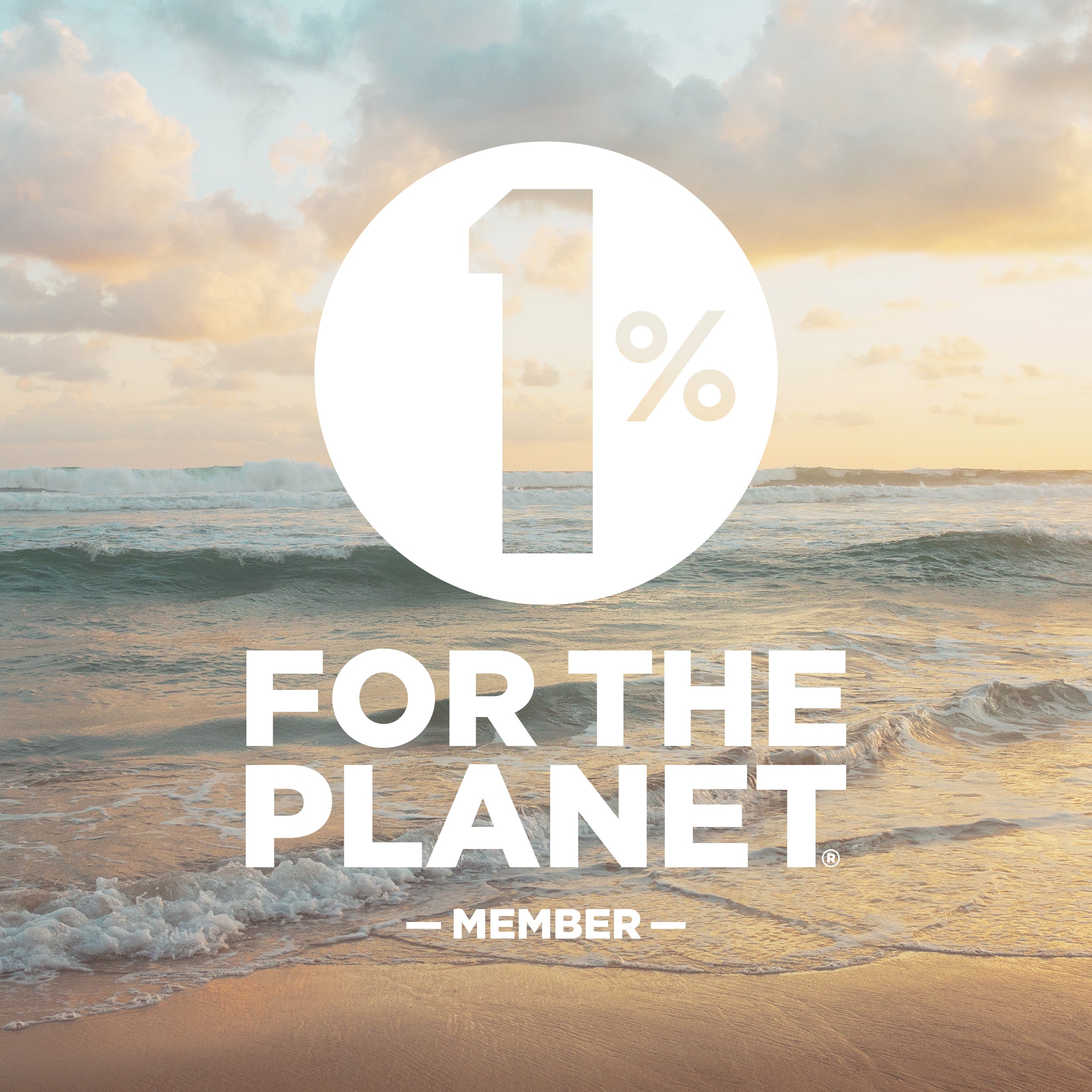 We are a proud member of 1% for the Planet. With each jewelry purchase we give towards environmental causes.